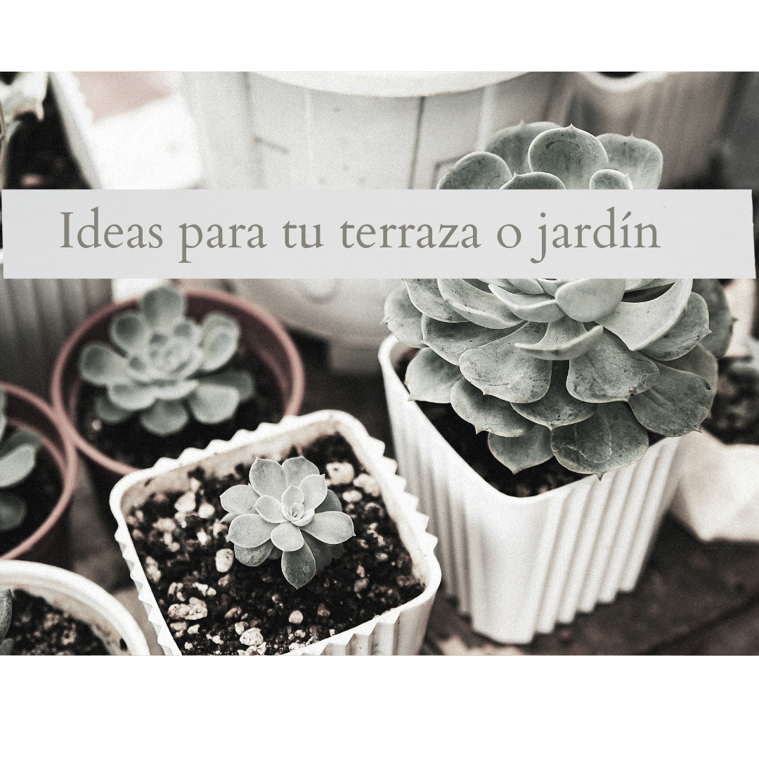 Ideas para tu terraza y Jardín