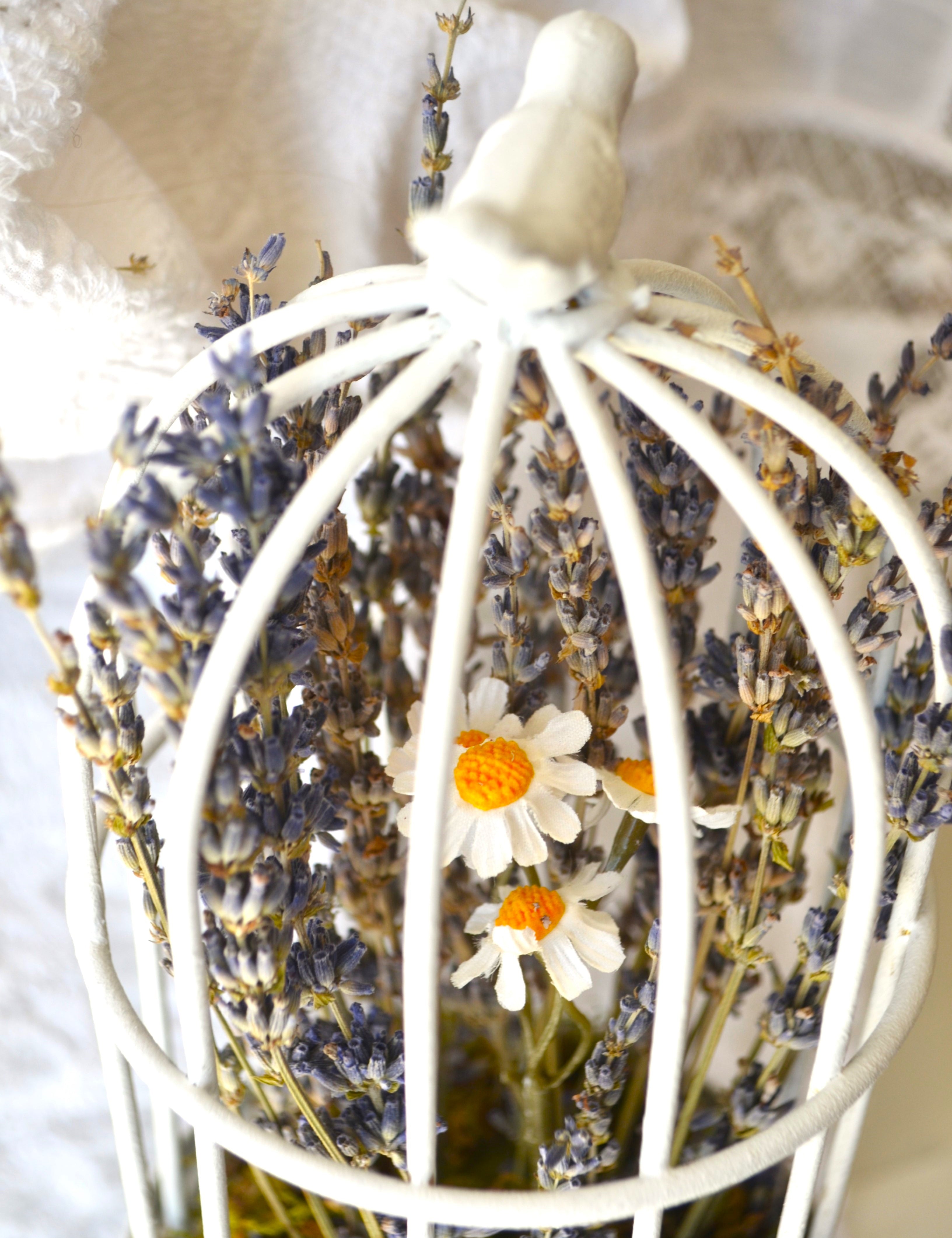 Detalle  Jaula decorativa romántica con lavandas y margaritas para dormitorio de niña Lily Garden & deco
