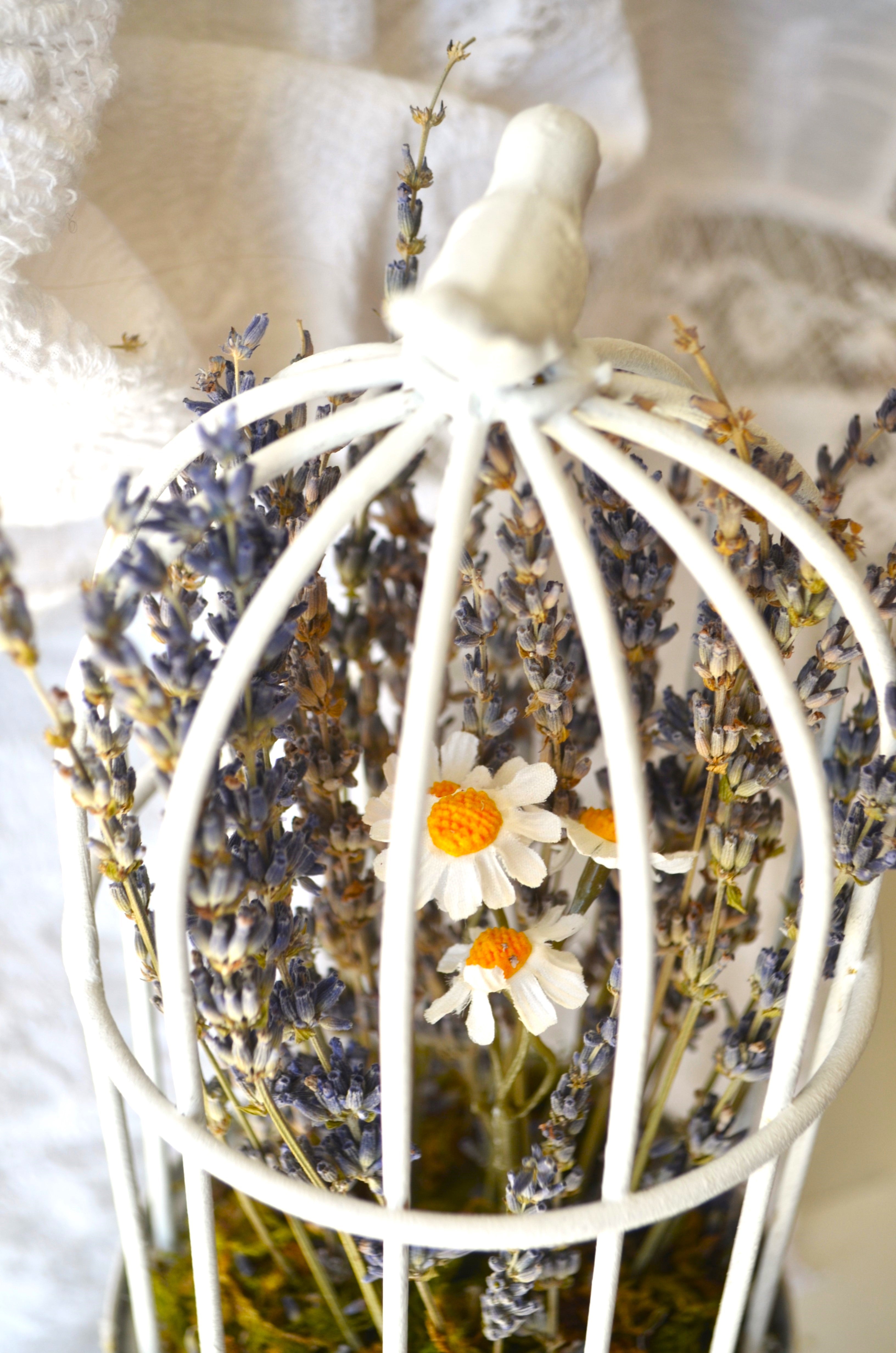Detalle  Jaula decorativa romántica con lavandas y margaritas para dormitorio de niña Lily Garden & deco