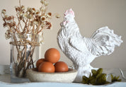 Gallo Campestre
