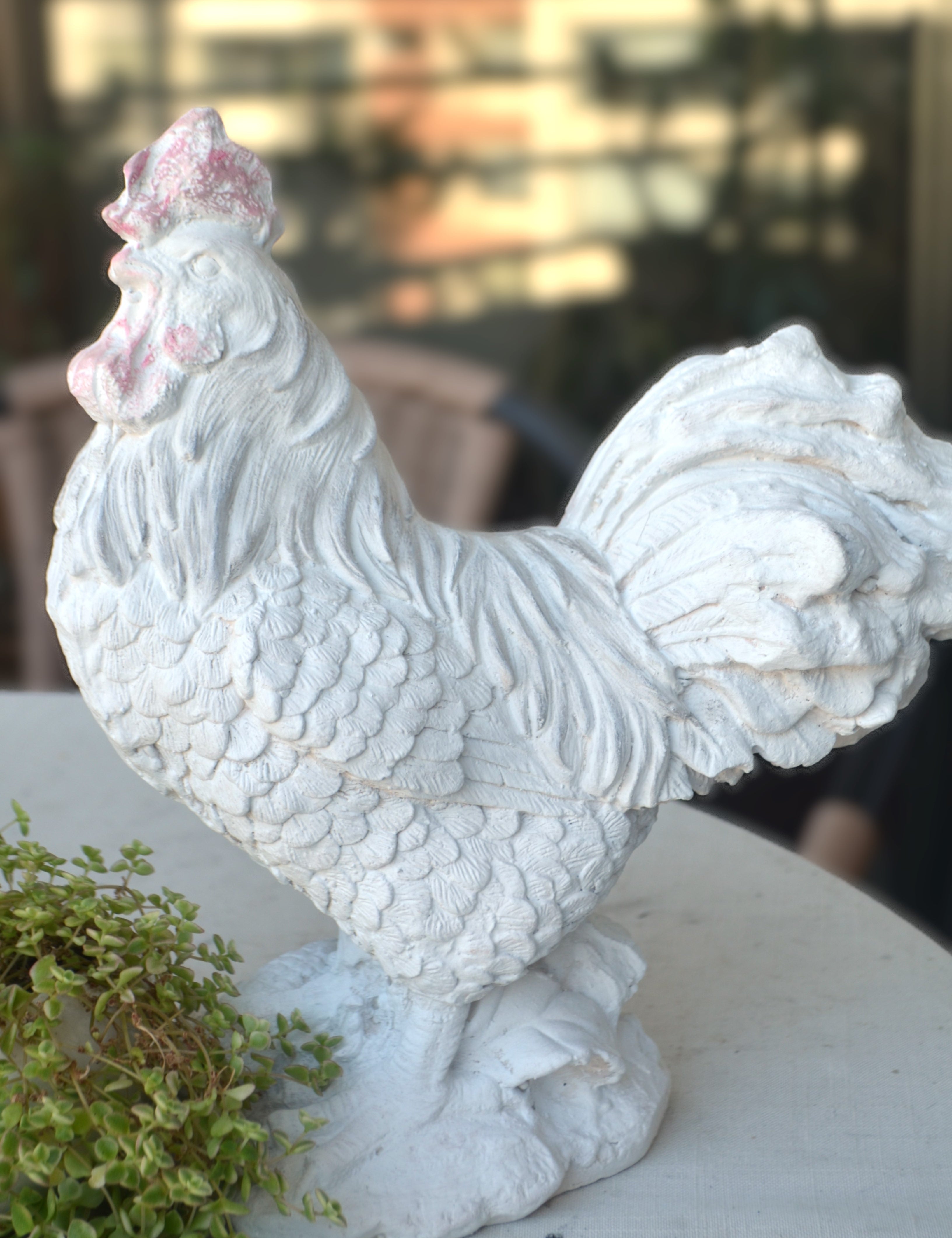 Galloterraza.jpg