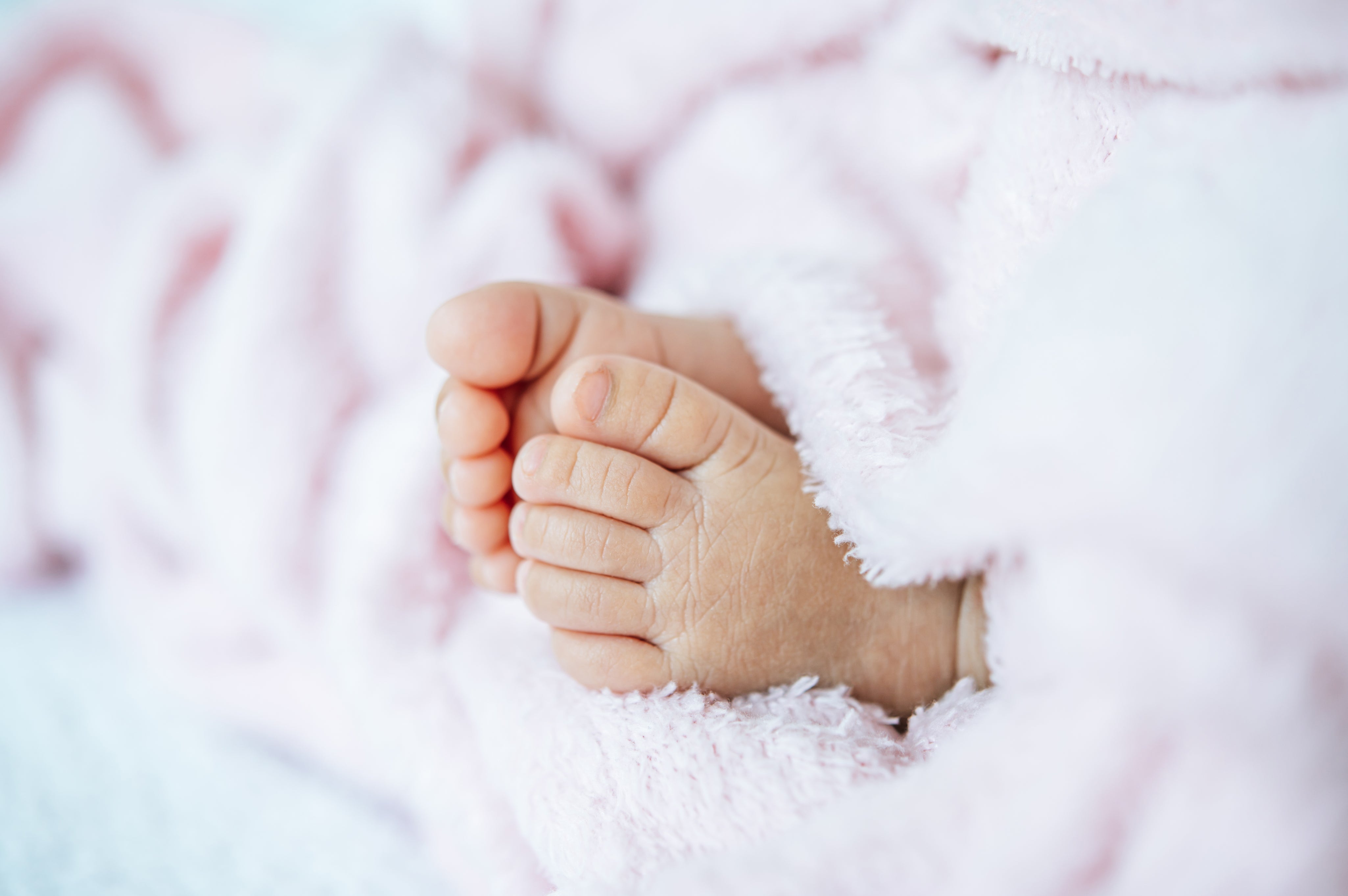 Imagen_de_bebe_6_patitas.jpg
