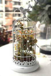 Jaula estilo romántico blanca con ramas de tela en el interior para interior de tu casa o para tu jardín o terraza Lily Garden & deco