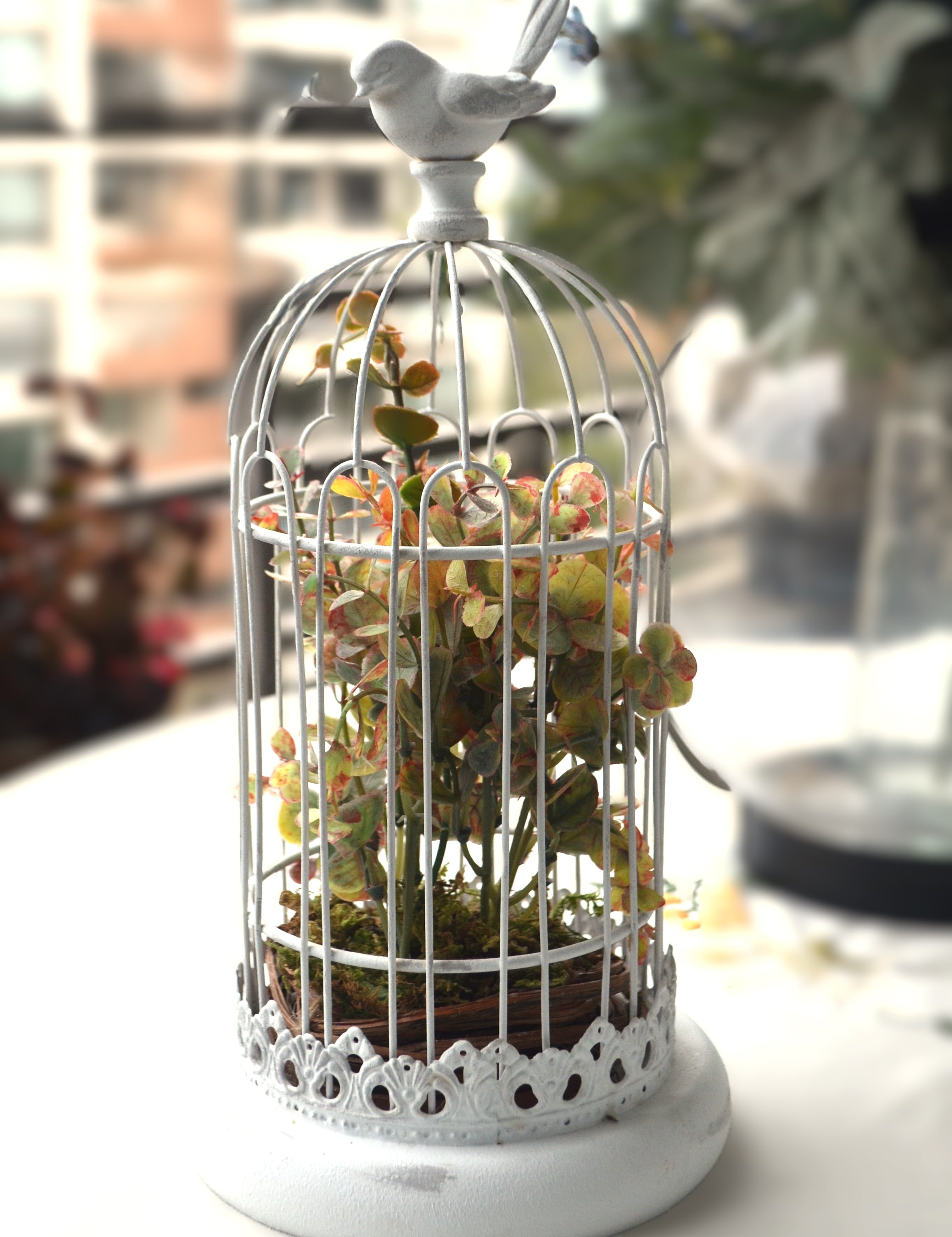 Jaula estilo romántico blanca con ramas de tela en el interior para interior de tu casa o para tu jardín o terraza Lily Garden & deco