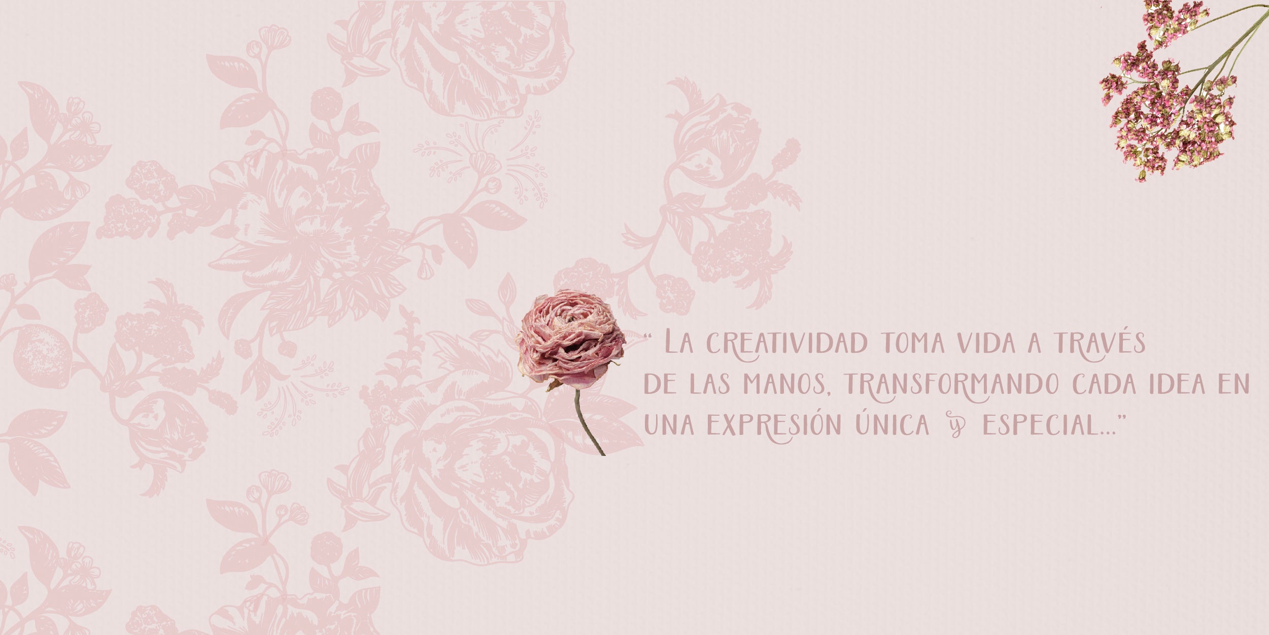 banner_cat_marcos-02.jpg
