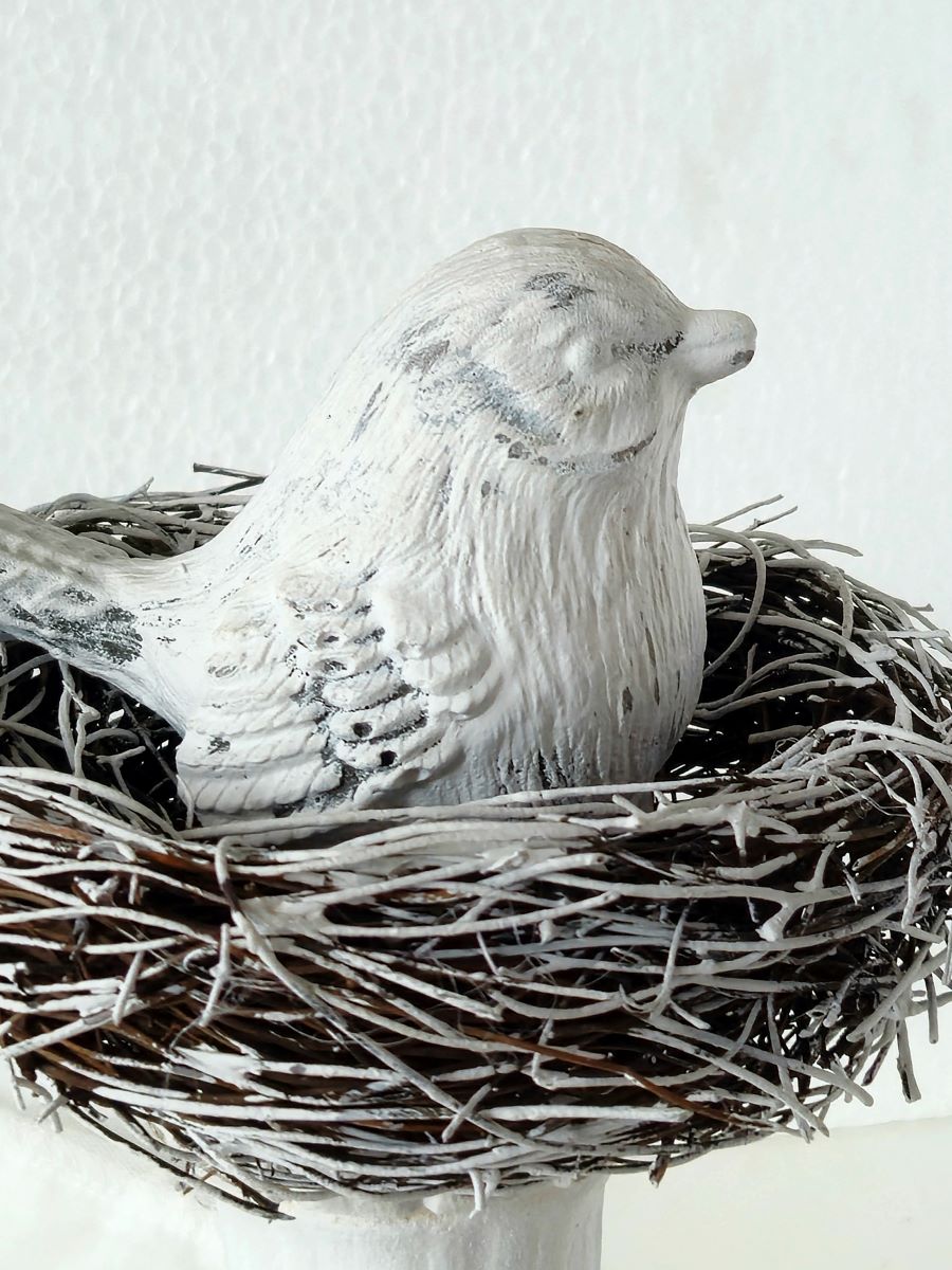 Pajarito romántico en su nido